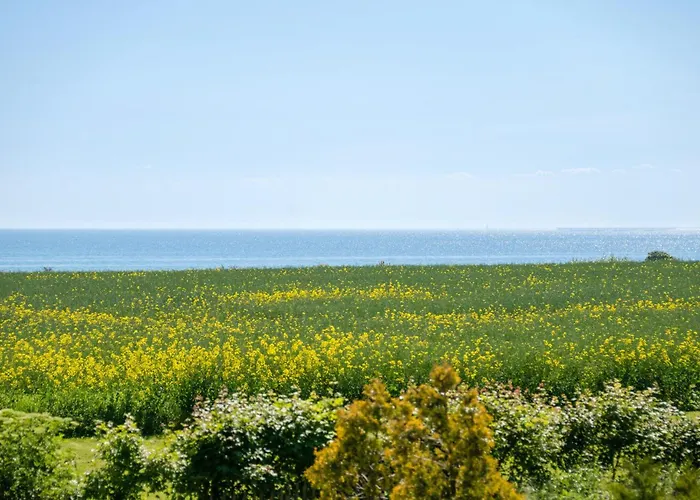 Four-bedroom With A Fireplace 01